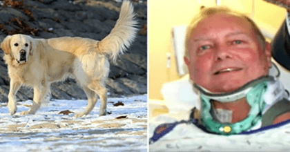 Man paralyzed from falling into slippery ice, saved from his Golden Retriever.