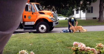 Garbage man was filmed while approaching someone else’s dog