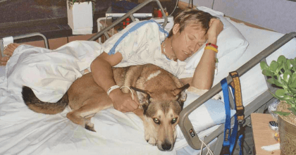 This dog’s sad story proves that dogs will always remain a man’s best friend