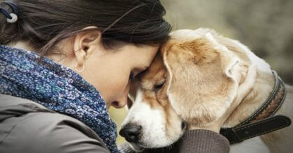 Losing a dog is as hurtful as losing a loved one according to research.