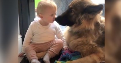 German shepherd and little girl have an incredible bond