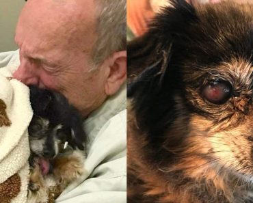 An old man passes away two weeks after his dog