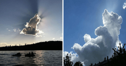 People Say That Dogs Go In Heaven Based On These Dog Shaped Clouds.