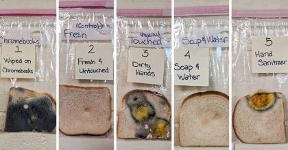 Hand-washing Experiment Done By Teacher Surprises Everyone