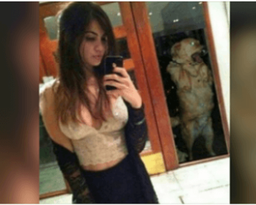 30+ Selfies Which Show why Checking your Background is Important before you Take a Selfie!