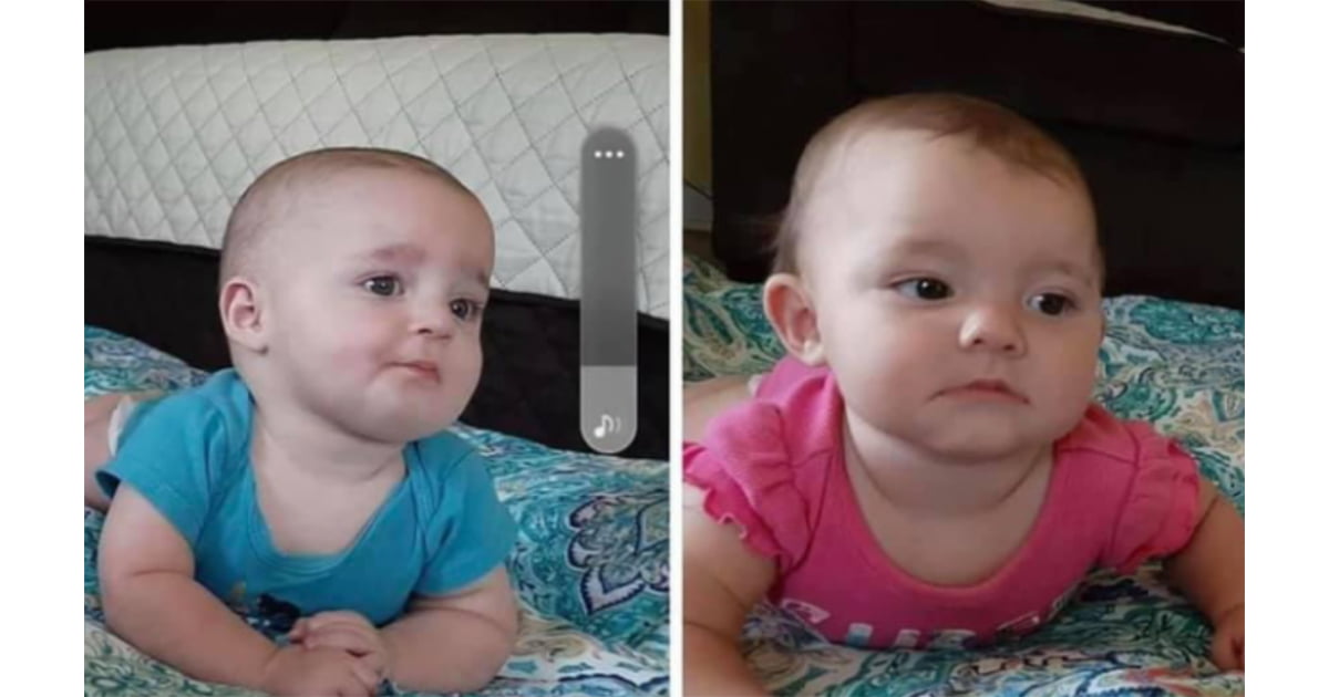 Bodies of twin babies swept away in Tennessee flooding found after an extensive search