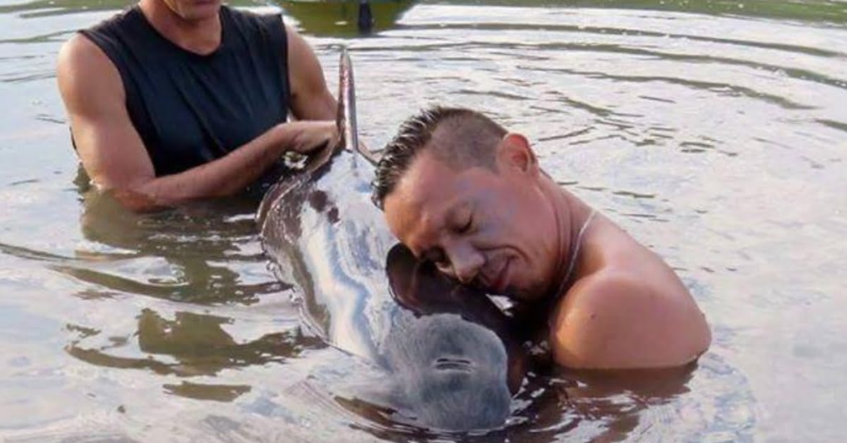 Surfers hear a crying baby whale, spend 6 hours saving her