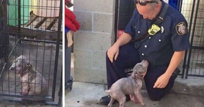 Sad shelter puppy becomes ecstatic when the firefighter who saved her shows up to adopt her