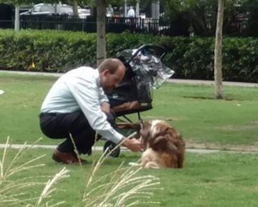 Man takes dog out of stroller, bends down to him thinking no one’s watching