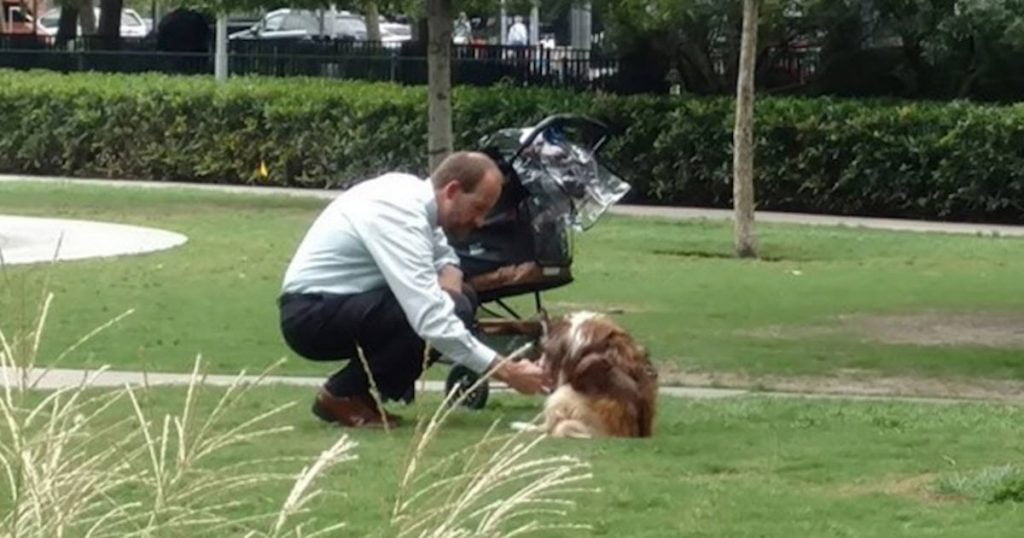 Man takes dog out of stroller, bends down to him thinking no one’s watching