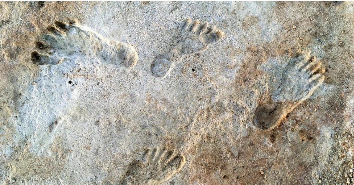 A startling discovery shows Fossil Footprints of Humans More Than 21000 Years Ago!