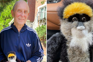 New York man searches for owner of stuffed monkey left in car on September 11, 2001