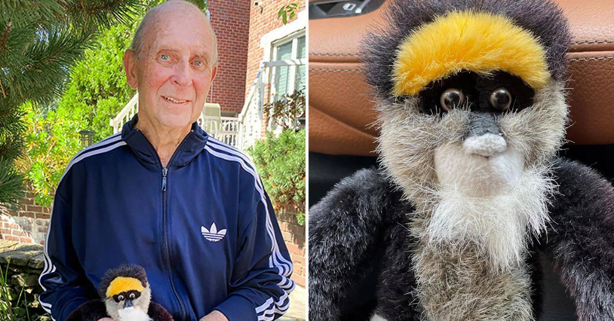 New York man searches for owner of stuffed monkey left in car on September 11, 2001