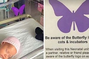 If You Ever See This Butterfly On A Baby’s Crip, Avoid Asking About It To The Parents