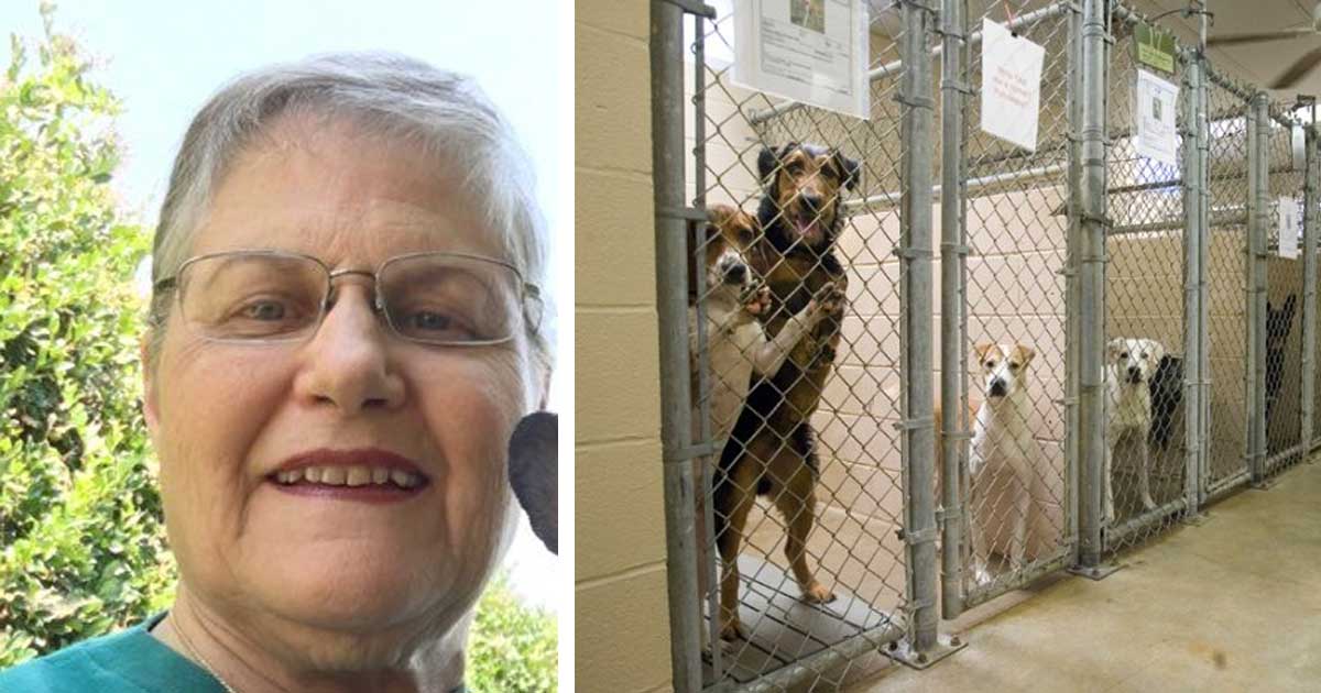 Woman Asks For Hardest To Adopt Dog