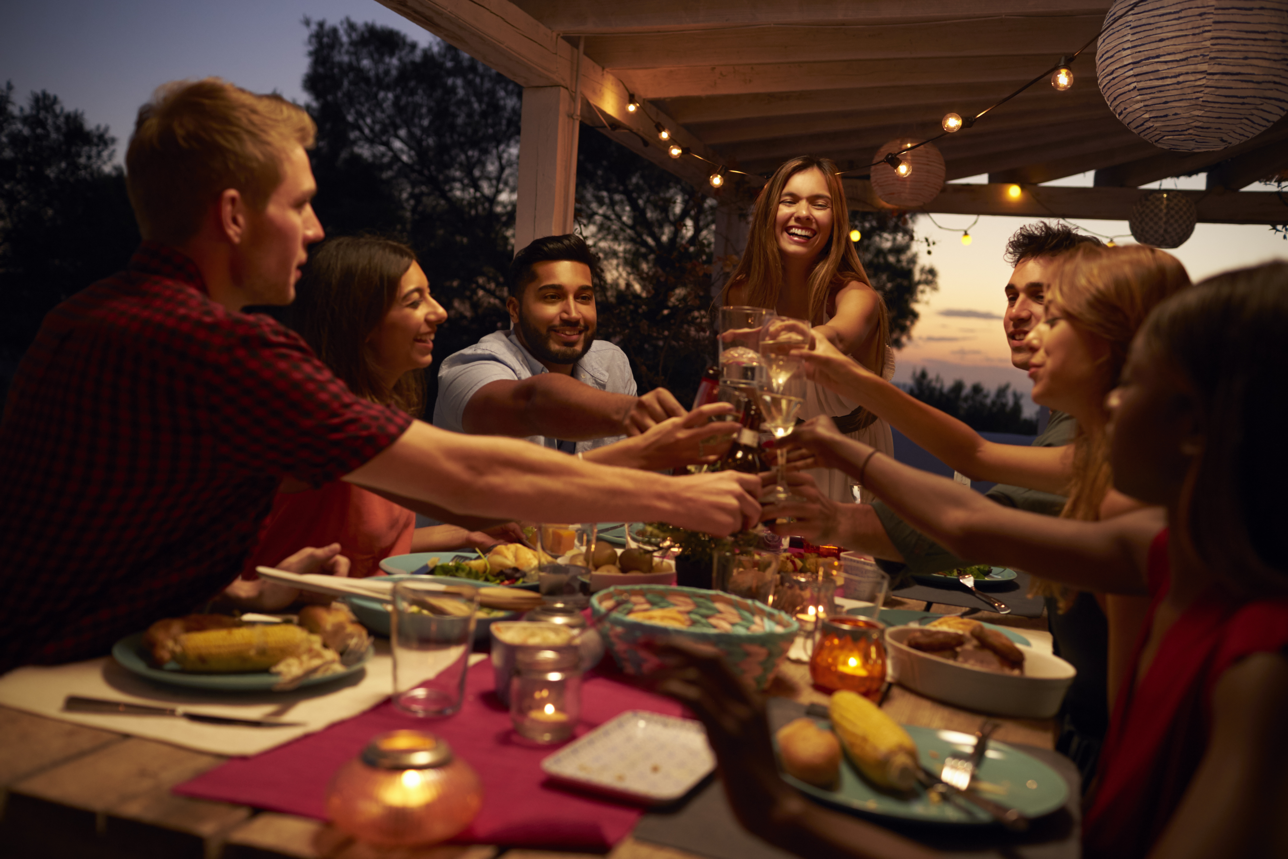 A group of friends is pictured raising toasts at a party | Source: Shutterstock