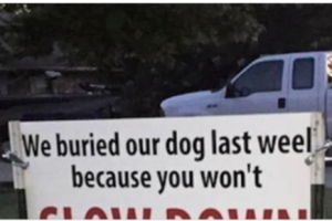 After dog gets hit by car, brutal sign has entire neighborhood talking