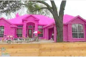 Guy has neighbors upset after he paints his whole house hot pink