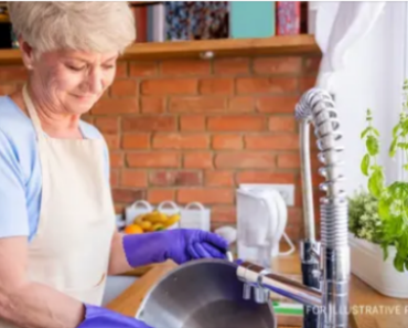 DAUGHTER-IN-LAW WAS ACTING MEANLY TOWARDS THE MOTHER-IN-LAW, SO THE OLD WOMAN DECIDED TO GIVE HER A LESSON