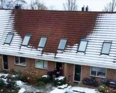 Several people from a small town in the Netherlands called the police after noticing something extremely strange at the house of nearby neighbors