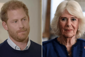 Queen Camilla ‘Outraged’ After Prince Harry’s Visit To See The King