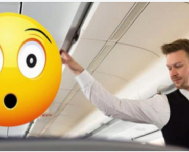 Flight Attendant Gives Hilarious Response To An Arrogant Rich Woman