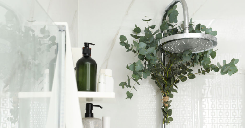 Branches with green eucalyptus leaves in shower
