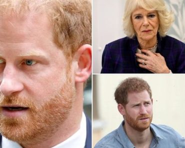 Queen Camilla ‘outraged’ after Prince Harry’s visit to see his father for “loving son PR stunt”, claims source