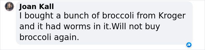 Man Receives Shock Of A Lifetime After Finding Snake Inside Bag Of Broccoli, Demands Compensation