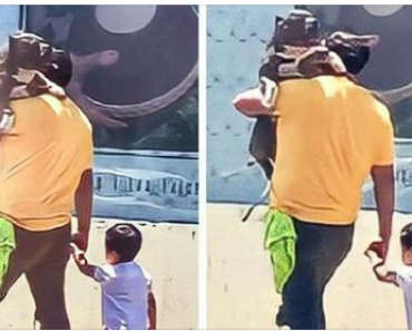 Father Prioritizes Dog Over Son: Chooses to Carry Pet Instead – News for health and chef