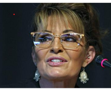 Sarah Palin Discusses a New Romance, Divorce, and Running for Congress