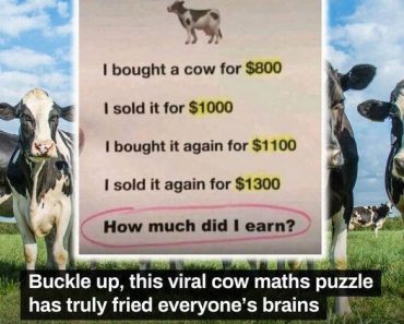 The Cow Math Puzzle: A Brain Teaser for the Curious Mind