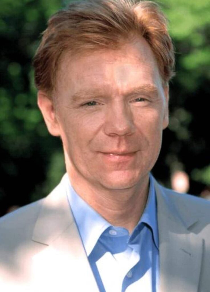 David Caruso