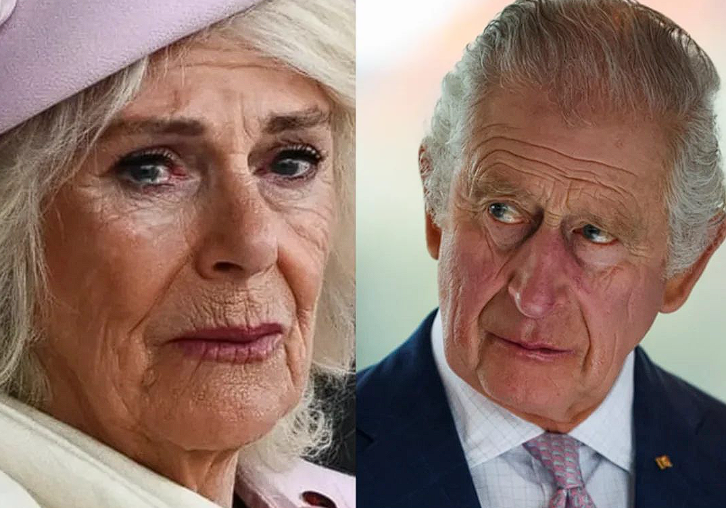 King Charles and Queen Camilla 1