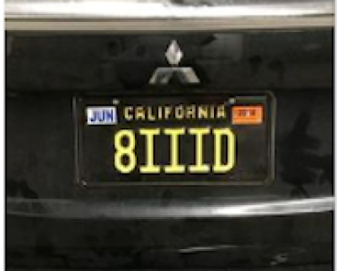 Viral License Plate: A Nevada Phenomenon!