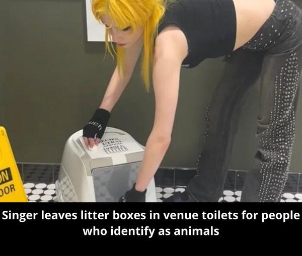 Litter Boxes