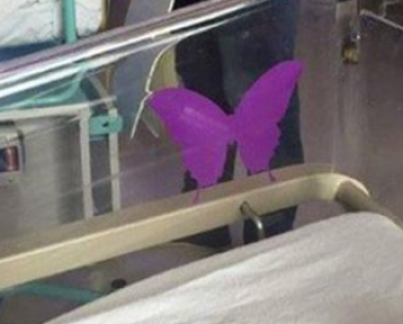 If you see a purple butterfly sticker near a newborn, you need to know what it means