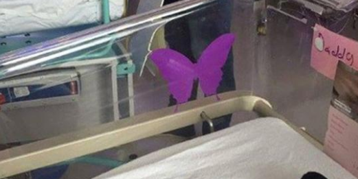 Meaning of Purple Butterfly