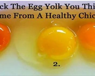 Tips for Choosing Quality Eggs