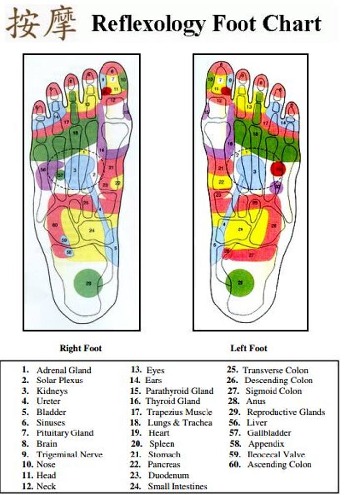 Reflexology