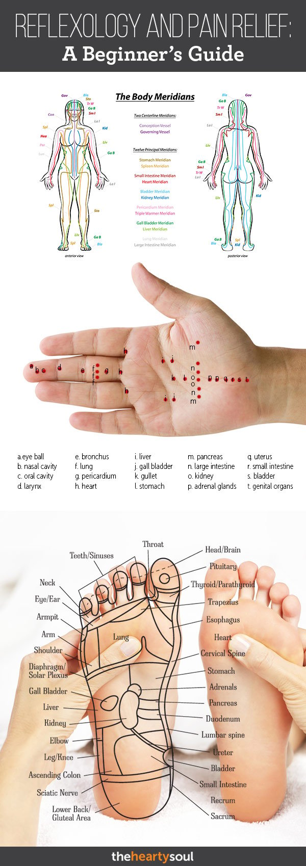 Reflexology