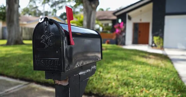 Wasps in Mailbox