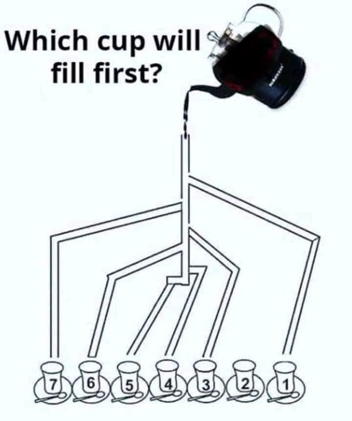 Which cup fills faster