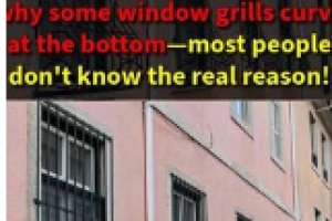 This Is Why Some Window Grills Have a Curve at the Bottom