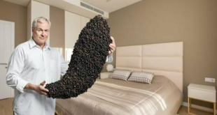 Black Pepper under bed