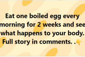 Eat one boiled egg every morning for 2 weeks and see what happens to your body