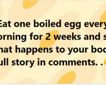 Eat one boiled egg every morning for 2 weeks and see what happens to your body