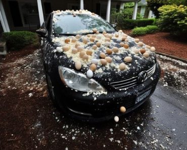 My Neighbor Egged My Car Over Halloween Decorations—You Won’t Believe His Reason