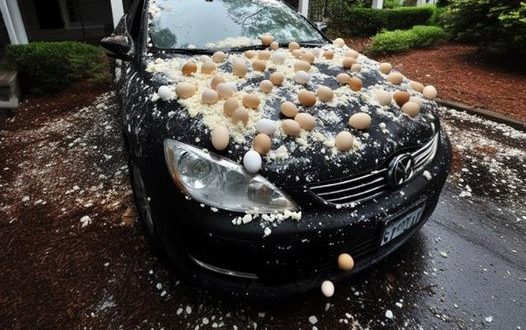 Egged Car for Halloween