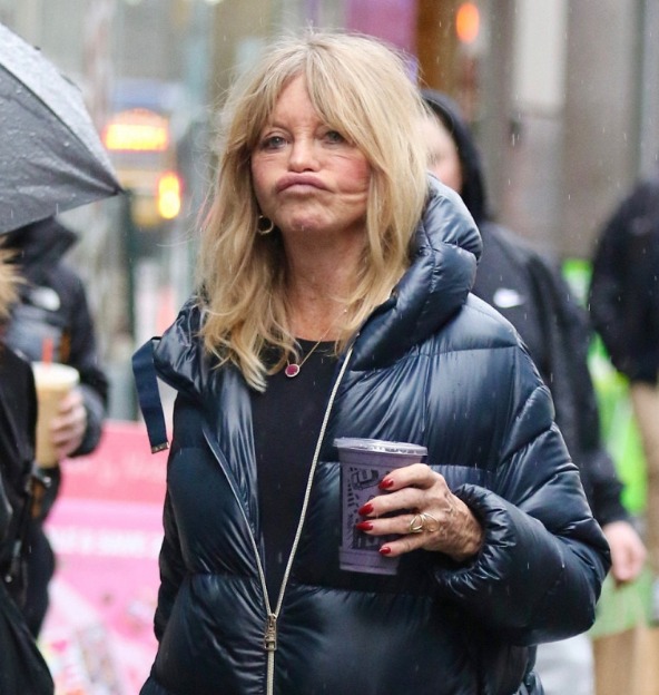 Goldie Hawn’s Unsuccessful Facelift